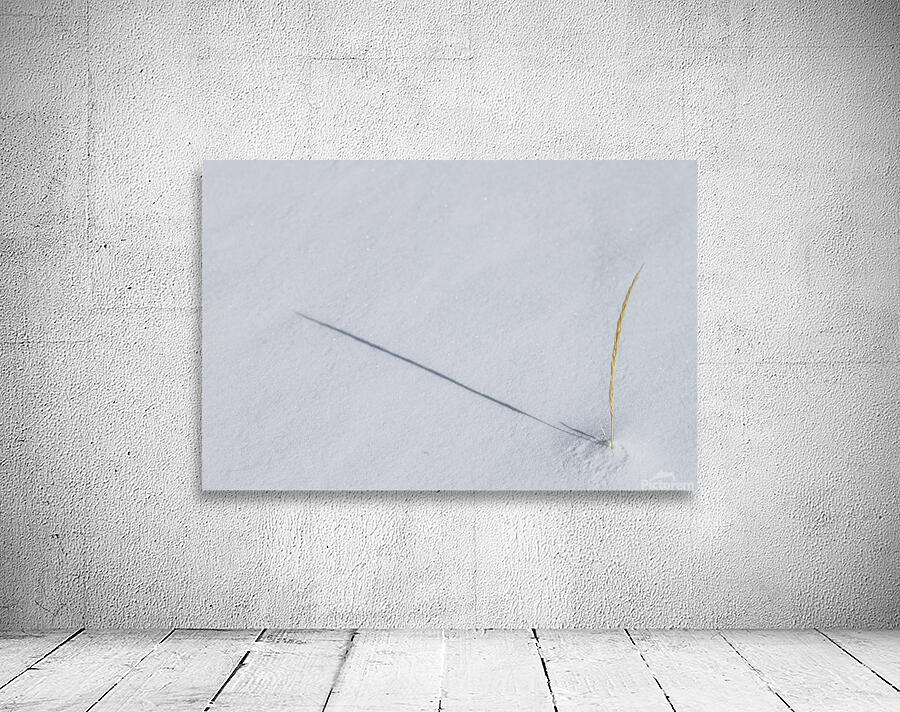 Winter Grass Wall Preview