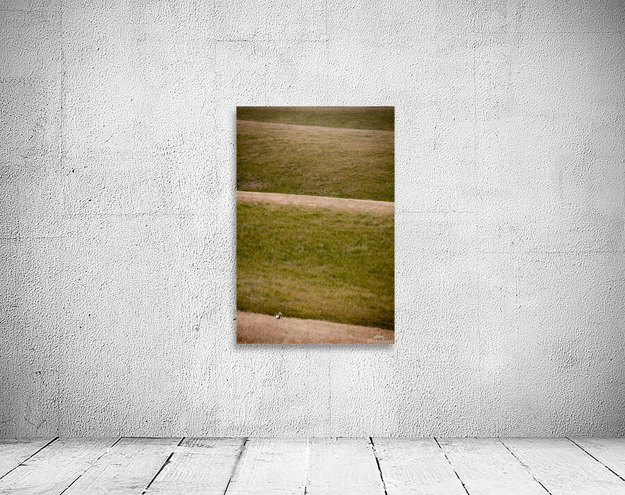 Space to Roam Wall Preview