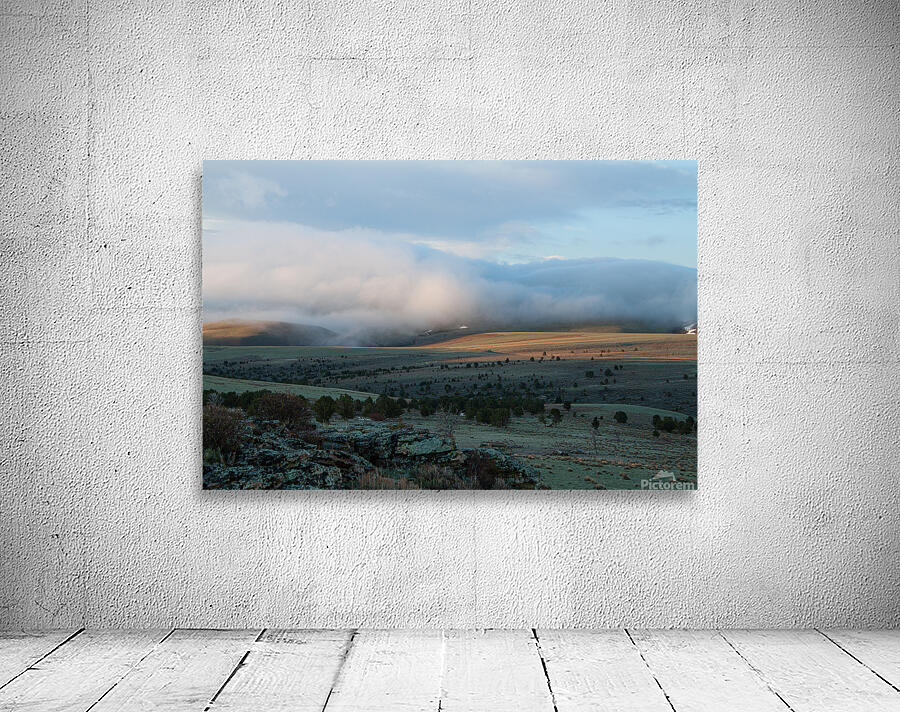 Chasing Light Wall Preview