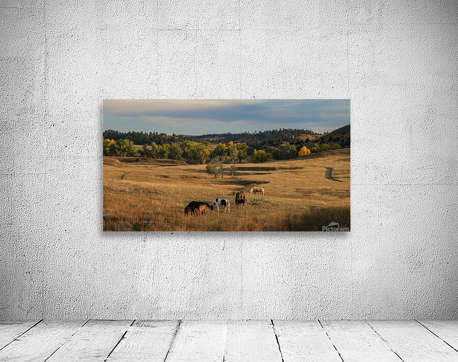 Sweetgrass Wall Preview