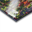 Colorful vineyard Acrylic print