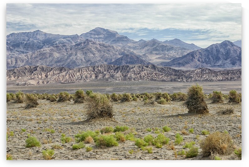 Landscape in Death Valley California Death Valley by Patricia Hofmeester PHotography