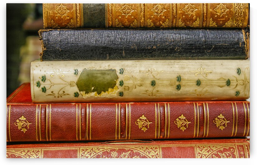 antique books by Patricia Hofmeester PHotography