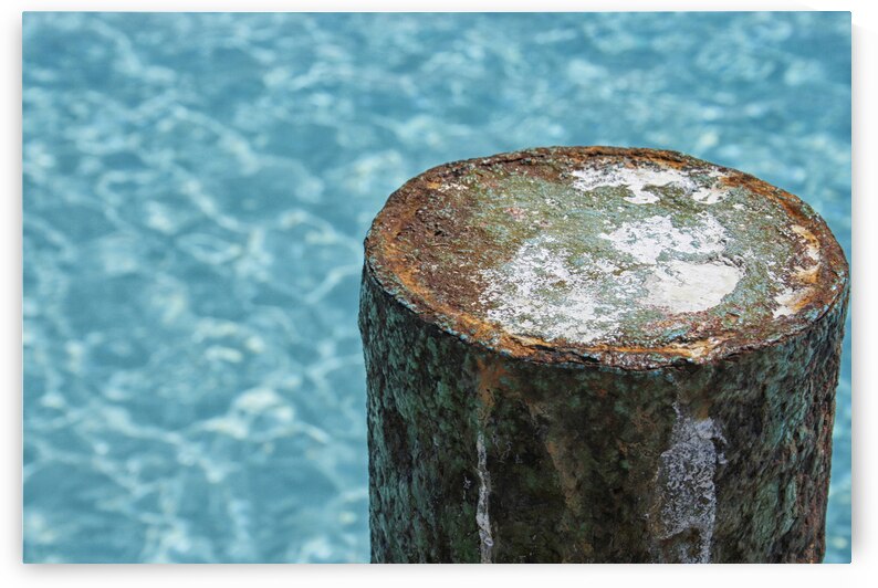 rust on dock by Patricia Hofmeester PHotography