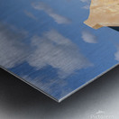 Historical slave houses on Bonaire Metal print