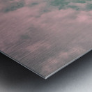 Ferris wheel Metal print