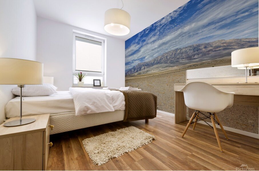 Desert landscape Mural print