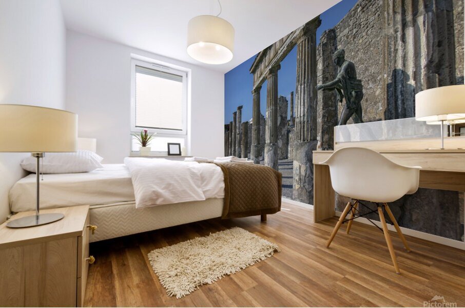 Apollo statue Mural print