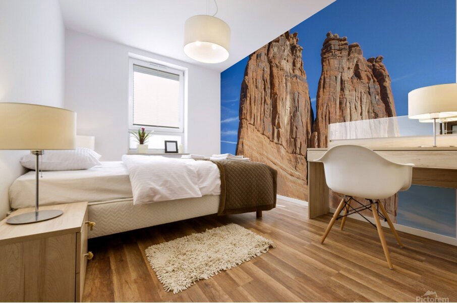 Dome rock Mural print