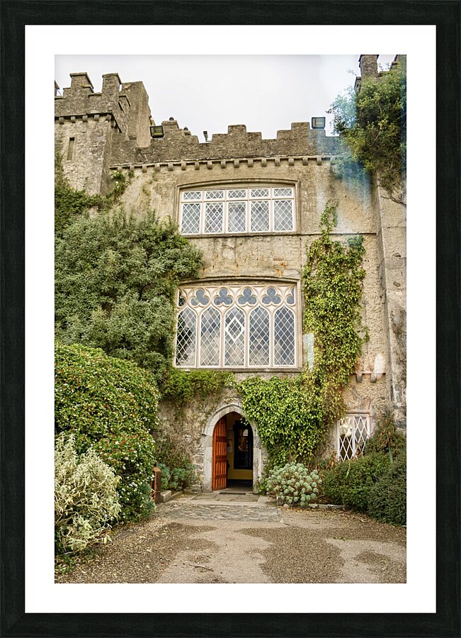 Malahide castle Picture Frame print