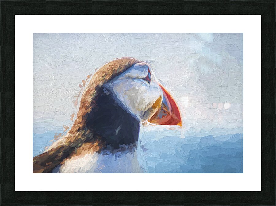 Puffin in close up Picture Frame print