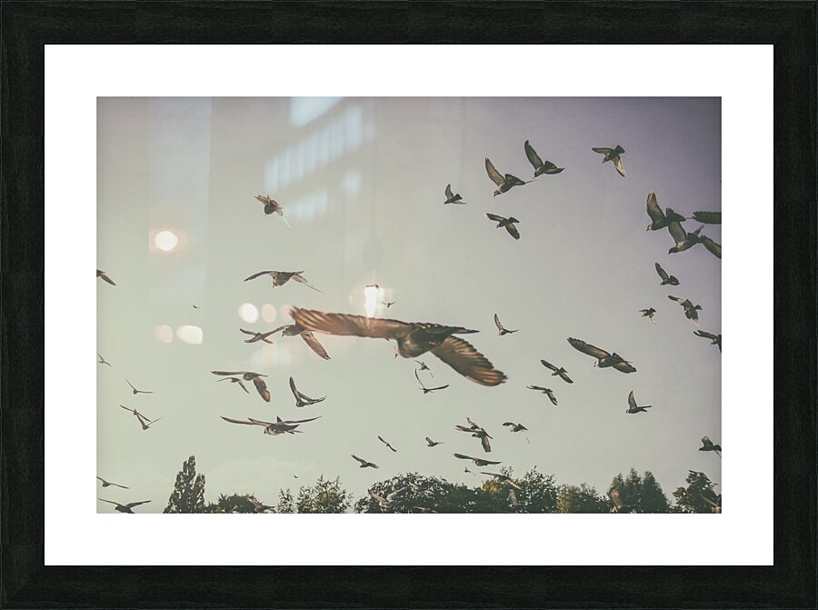 flying Picture Frame print