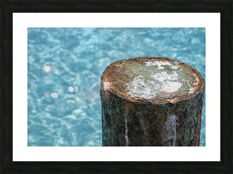 rust on dock Picture Frame print