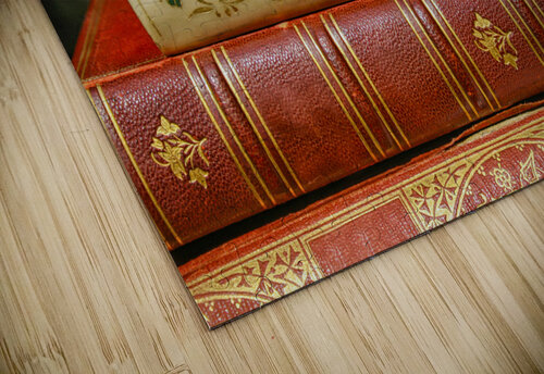 antique books Patricia Hofmeester PHotography puzzle