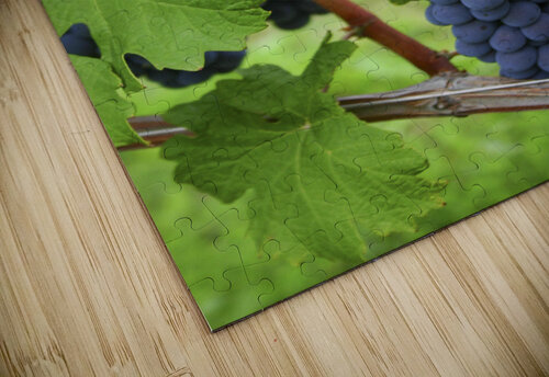 Blue grapes Patricia Hofmeester PHotography puzzle
