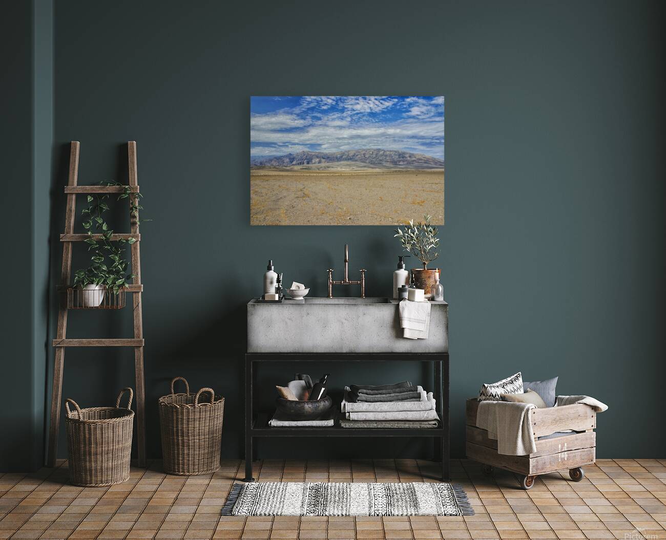 Desert landscape Reproduction