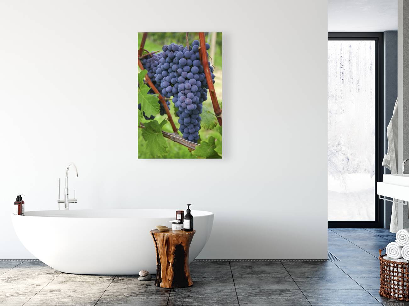 Blue grapes Reproduction