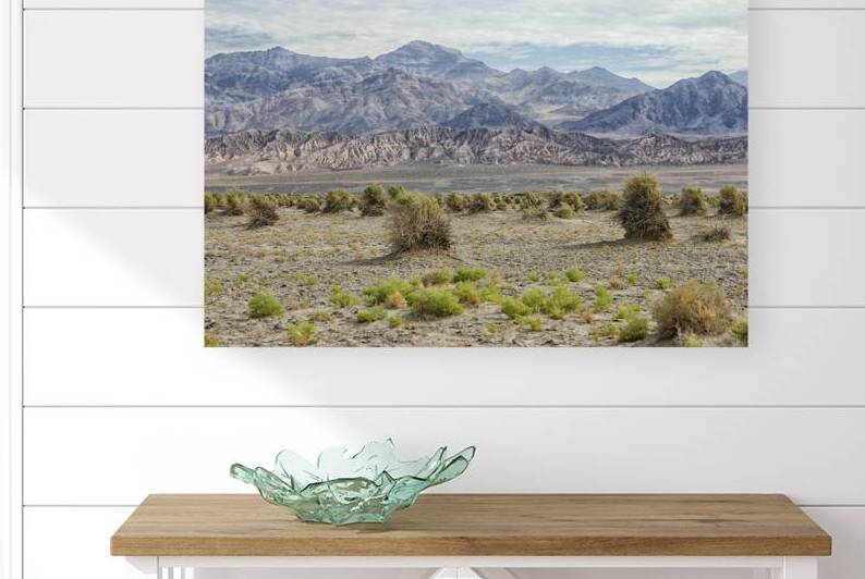 Landscape in Death Valley California Death Valley by Patricia Hofmeester PHotography
