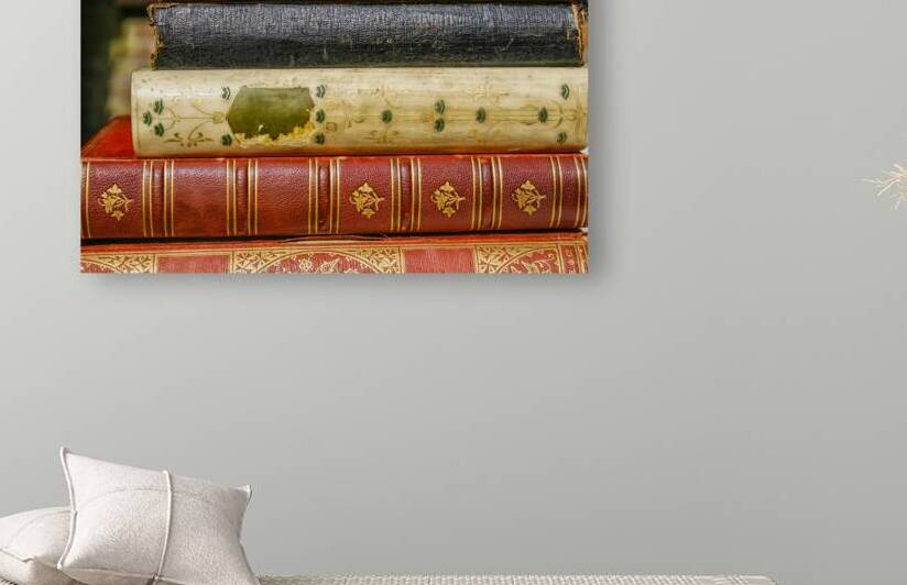 antique books by Patricia Hofmeester PHotography