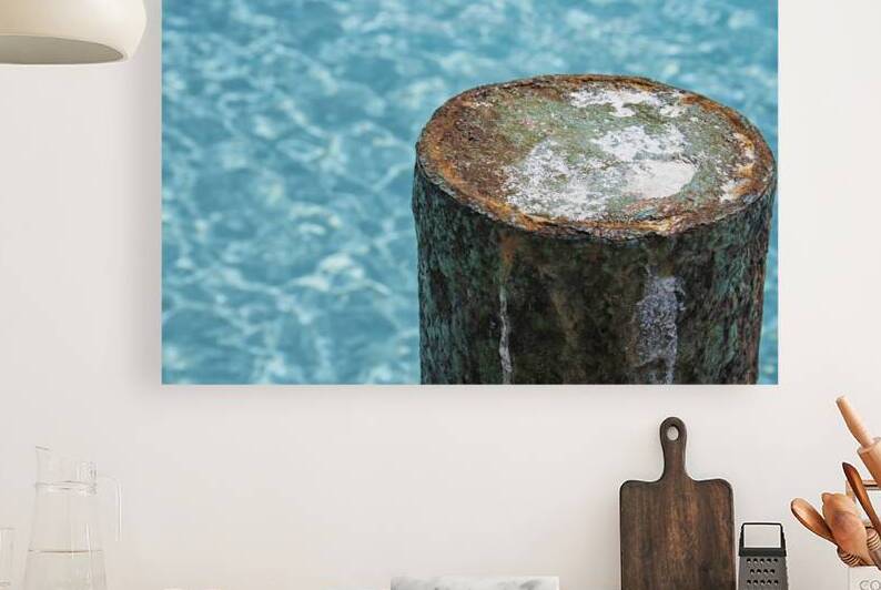 rust on dock by Patricia Hofmeester PHotography