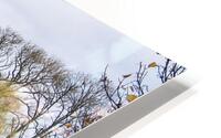 Malahide castle HD Metal print