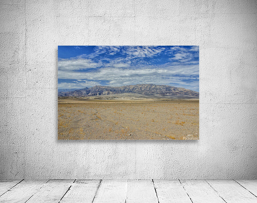 Desert landscape Wall Preview