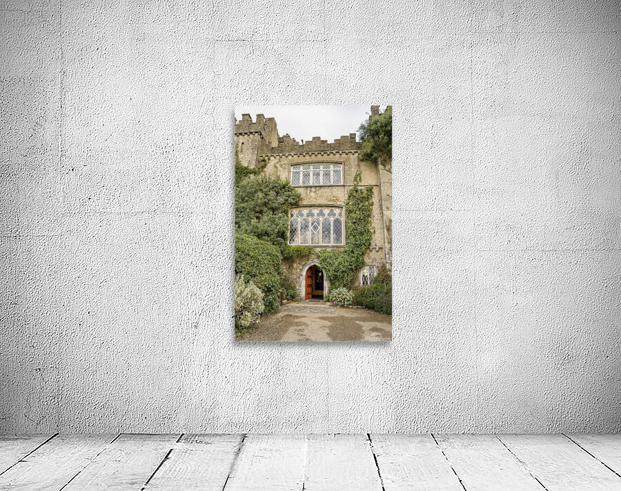 Malahide castle Wall Preview
