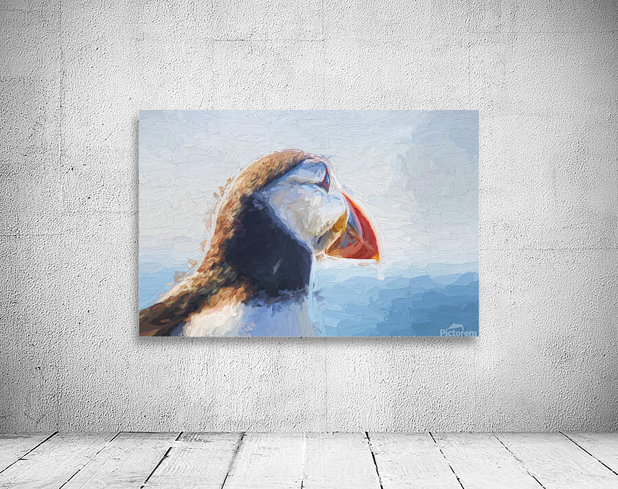 Puffin in close up Wall Preview