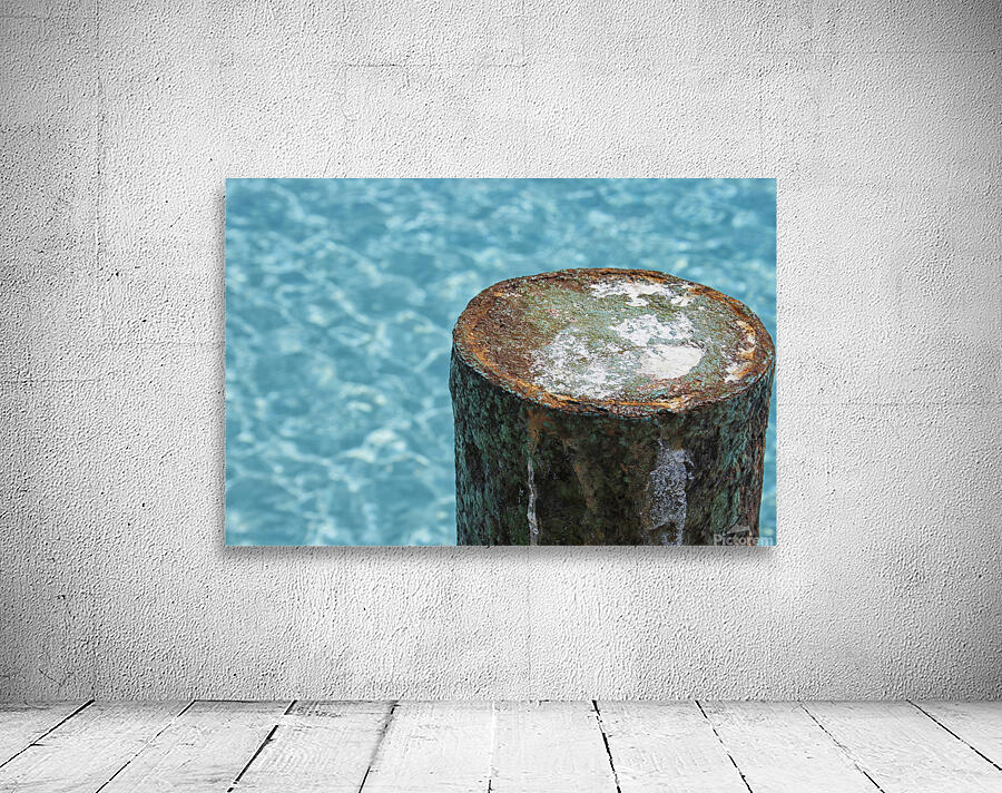 rust on dock Wall Preview