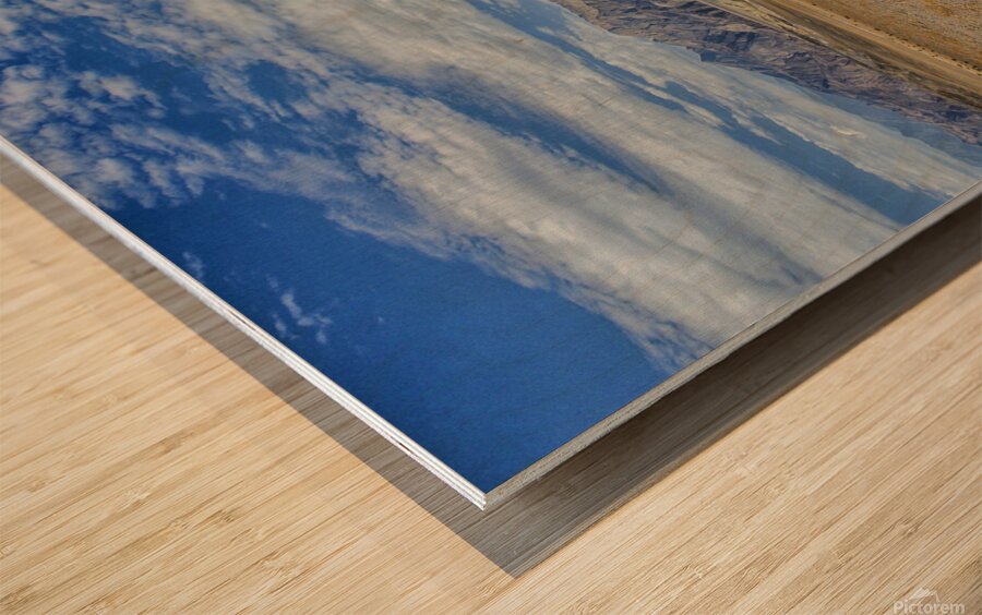 Desert landscape Wood print