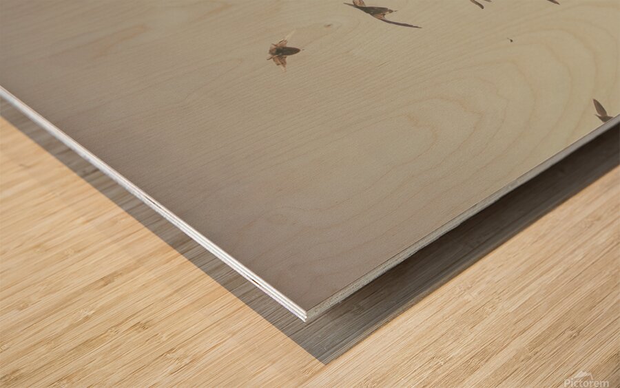 flying Wood print