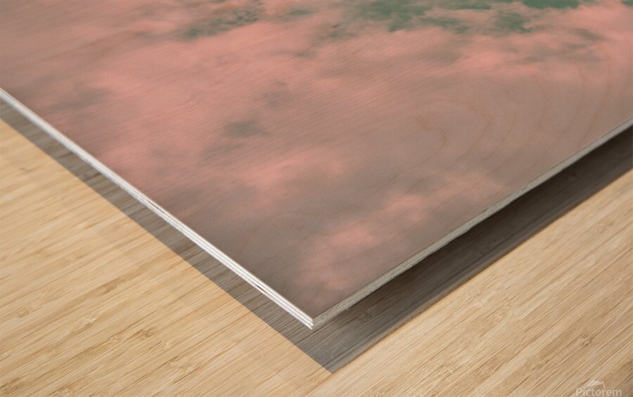 Ferris wheel Wood print