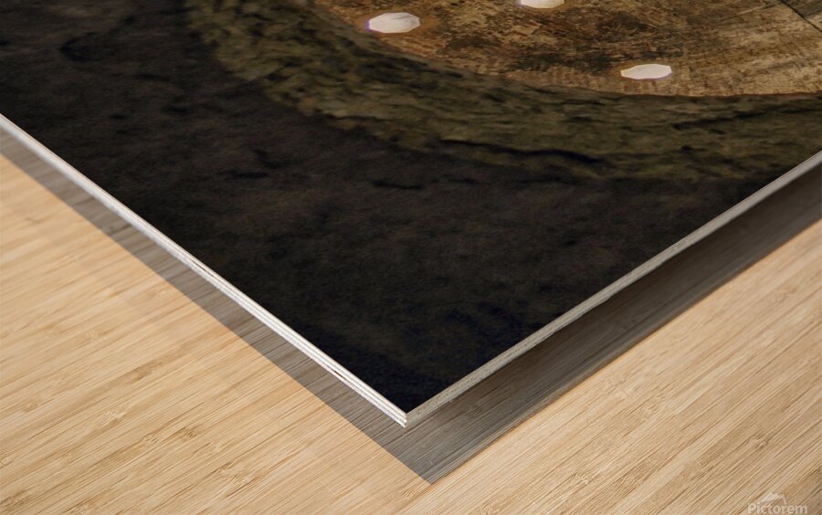 Inside the Alhambra Wood print