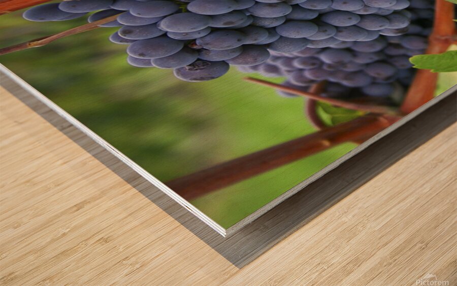 Blue grapes Wood print