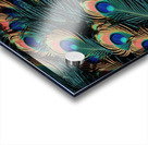 peacock feathers pattern seamless pattern Acrylic print