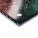 night sky nature tree night landscape forest gala Acrylic print