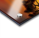 landscape illustration elephants animals africa s Acrylic print