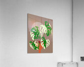 monstera plant boho floral background botanical d Acrylic Print