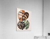 monstera leaves plants simple minimalist backgrou 1708619751.6874 Acrylic Print