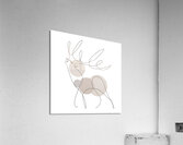 deer fallow deer boho antlers stately drawing rut Acrylic Print