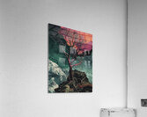 night sky nature tree night landscape forest gala Acrylic Print