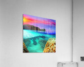 sea ocean landscape water transparent clean coral Acrylic Print