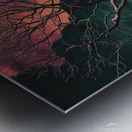 night sky nature tree night landscape forest gala Metal print