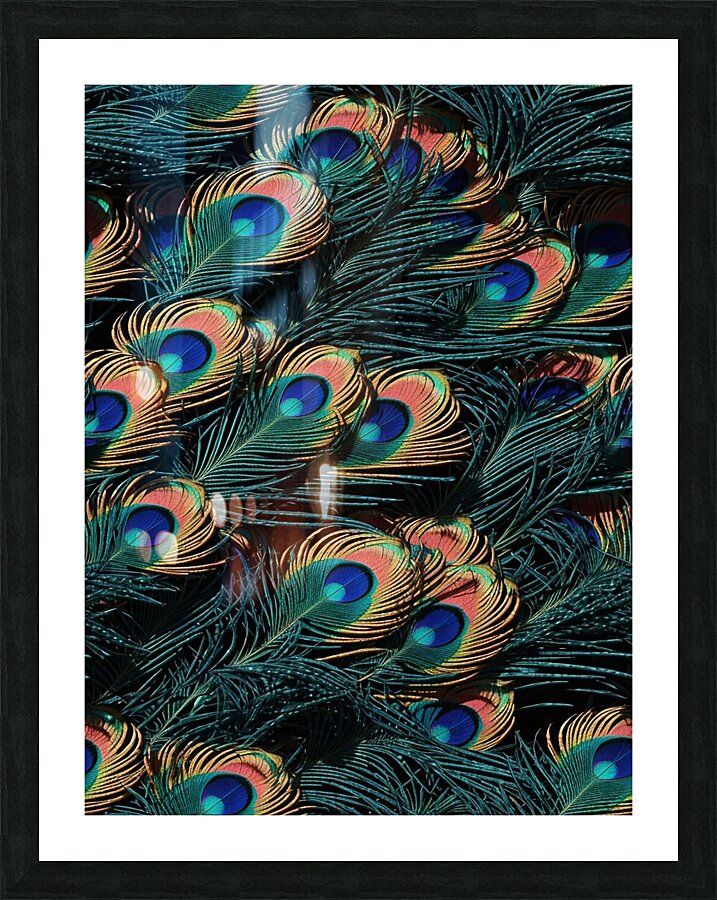 peacock feathers pattern seamless pattern Picture Frame print