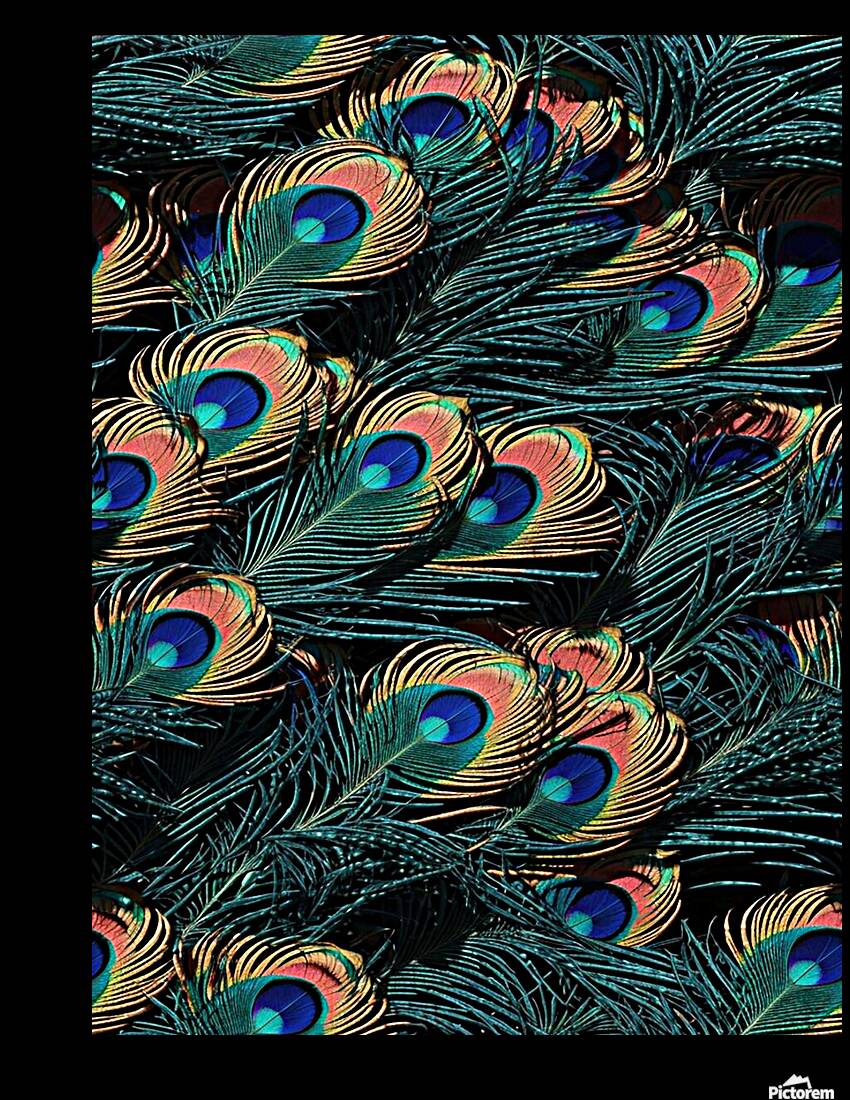 peacock feathers pattern seamless pattern Reproduction