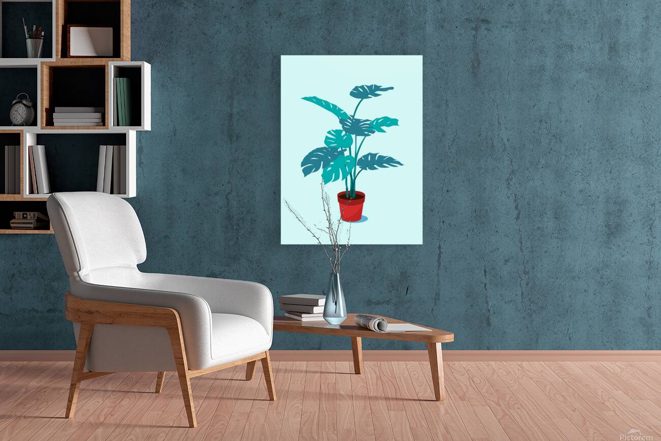 plant foliage monstera leaves nature houseplant c Reproduction