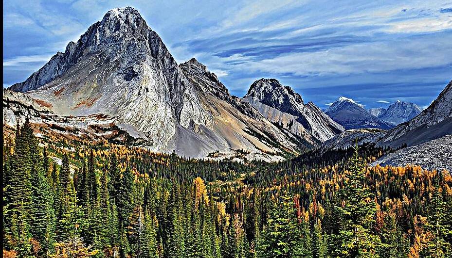 autumn larch trees mountains trees by Sastroredjo