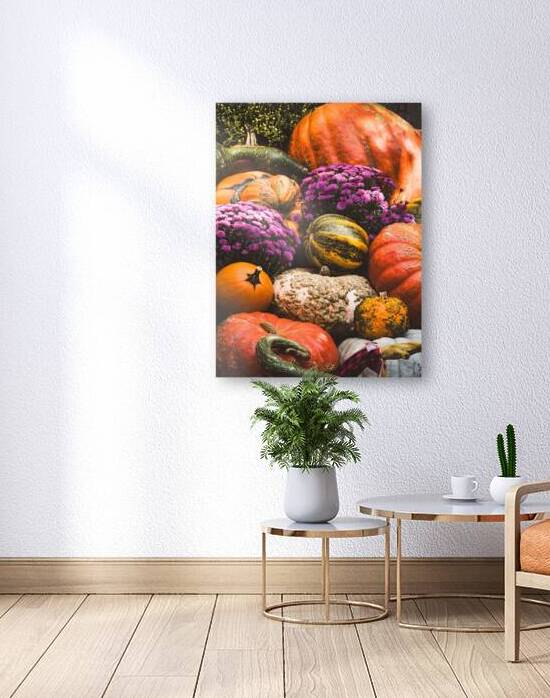 pumpkin harvest fall fruit nature by Sastroredjo