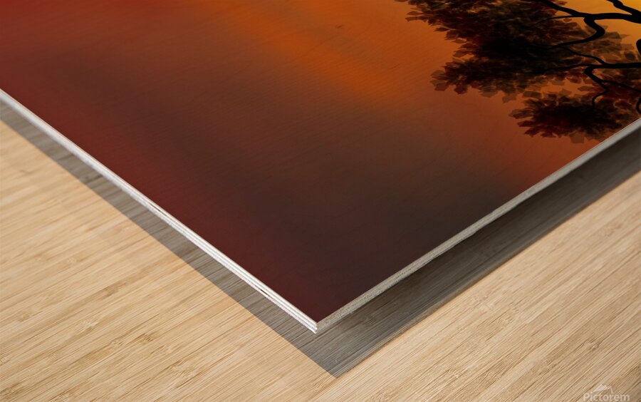 landscape illustration elephants animals africa s Wood print