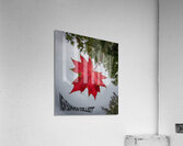 The tree leaf Acrylic Print